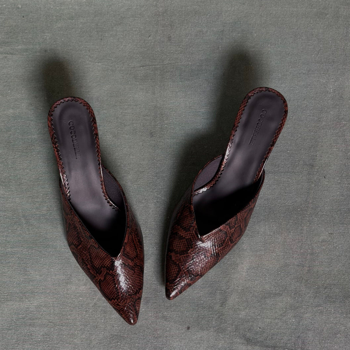 Iconic Kitten-heel mules in Brown Snake