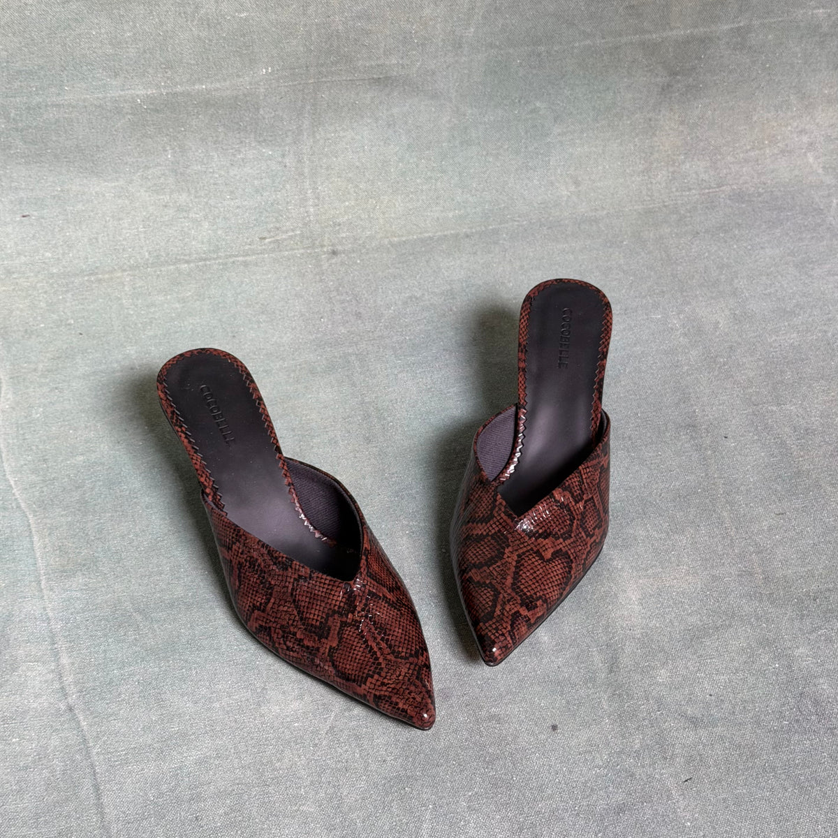 Iconic Kitten-heel mules in Brown Snake