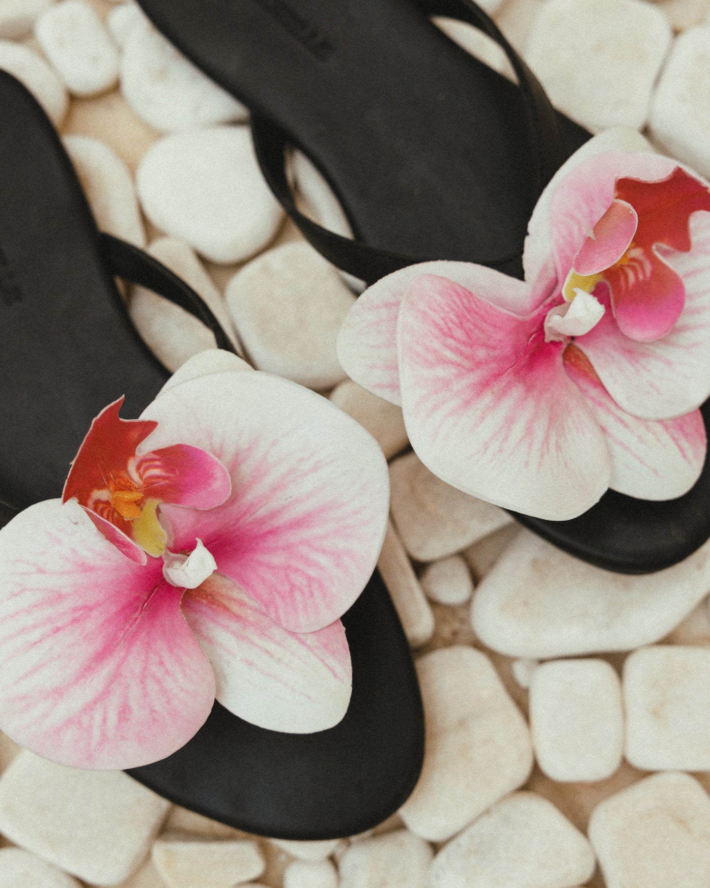 Inez Slipper in Orchid Flower
