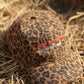 “ Cowboys Make Better Lovers” Cap in Brown Leopard