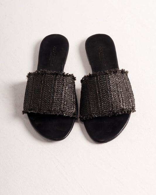 Iris in Black Raffia